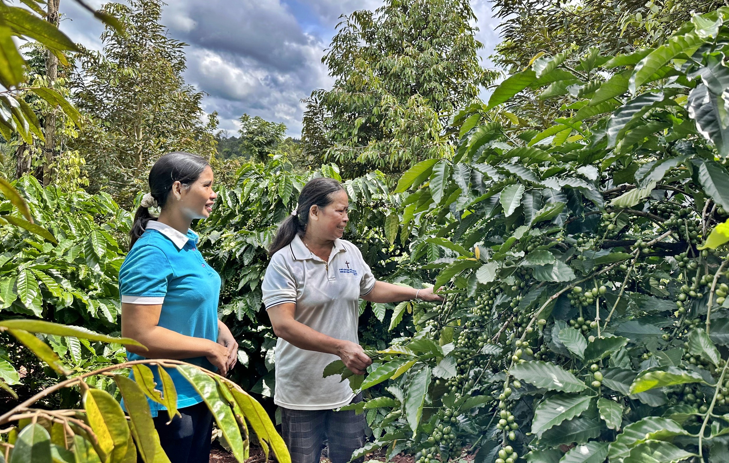 Amí Y Bon – tấm gương phụ nữ dân tộc thiểu số vươn lên trong phát triển kinh tế gia đình